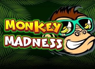 Monkey Madness игровой слот Pragmatic